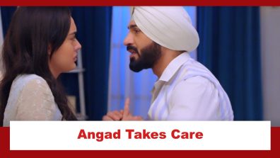 Teri Meri Doriyaann Spoiler: Angad takes care of Sahiba