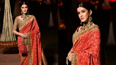 Shanaya Kapoor Sparks Royal Allure In Traditional Red Saree, See Viral Photos