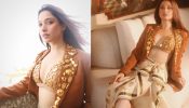 Tamanaah Bhatia Looks Stunning In Tan Indo-Western Outfit With Plunging Bralette 897393