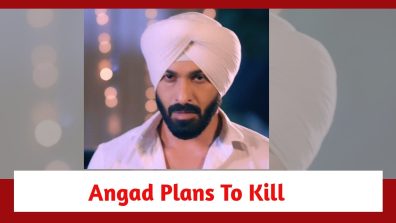 Teri Meri Doriyaann Spoiler: Angad gets a gun; plans to kill Diljeet