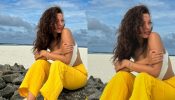 Tripti Dimri Looks Stunning On The Beach During Her Tropical Getaway 896641
