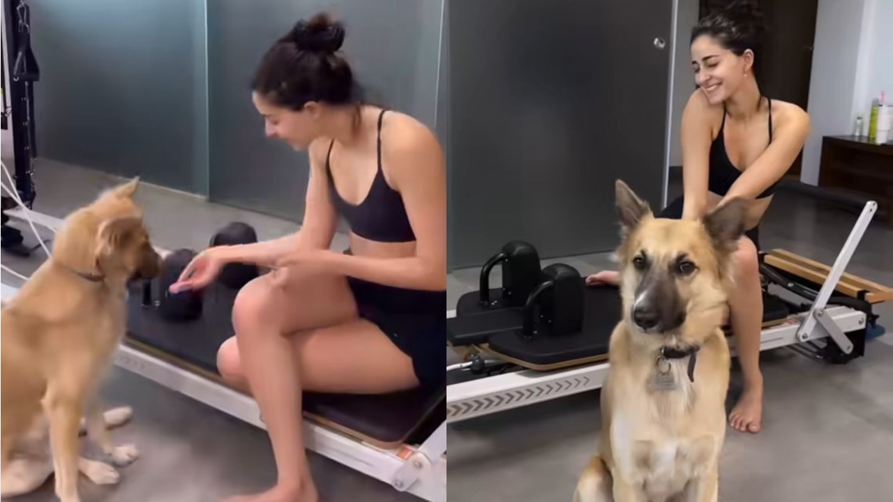 Ananya Panday Starts Sunday Fun With Pilates Workout Session With Furry Friend, Checkout Photos! 902336