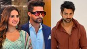 Couple Goals: Ravi Dubey Strike A Pose With Sargun Mehta In Candid Moment, Karan Wahi Liked It!
