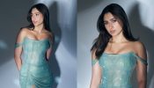 Ishq Vishq Rebound Fame Pashmina Roshan Dazzles In Corset Dress, Hrithik Roshan Calls Her, 'Beautiful' 902361