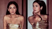 [Photos] Sonal Chauhan Looks Absolutely Breathtaking In Golden Bodycon Dress 902316