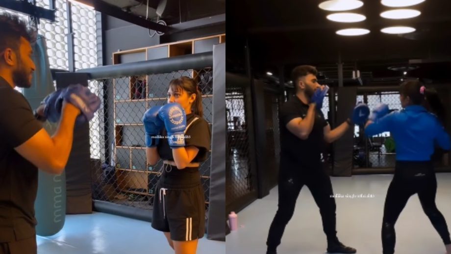 RadhaKrishn Fame Mallika Singh Impresses With Her Intense Boxing Skill, Watch! 900755