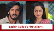 Udne Ki Aasha Spoiler: Aaji organizes Sachin and Sailee's first night; Sachin gives consent 900172