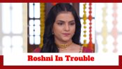 Udne Ki Aasha Spoiler: Roshni in grave trouble; will she get exposed? 902912