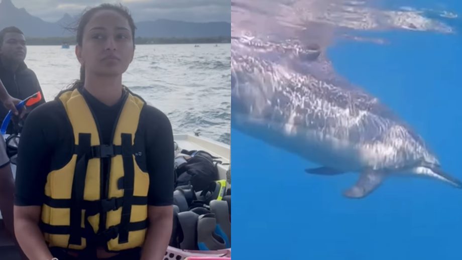 Adventure Junkie: Erica Fernandes Jumps In Blue Sea, Enjoys Swimming With Dolphins 904216