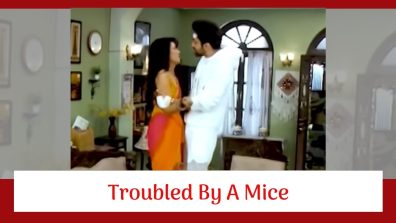 Kaise Mujhe Tum Mil Gaye Serial Twist: Virat and Amruta get troubled by a mice; end up in each other’s arms