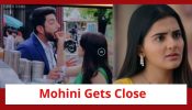 Krishna Mohini Serial Twist: Mohini gets close to Aryaman; Krishna gets warned 904233