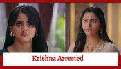 Krishna Mohini Serial Upcoming Twist: Mohini traps Krishna; Krishna gets arrested 907977