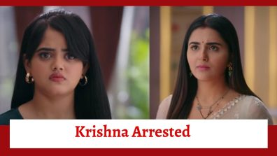 Krishna Mohini Serial Upcoming Twist: Mohini traps Krishna; Krishna gets arrested