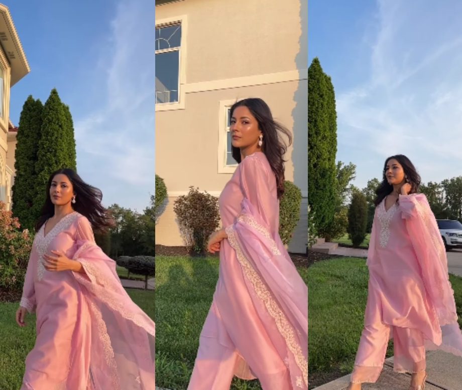 Shehnaaz Gill In Pink Or Blue: Which Ethnic Suit Will Is Perfect Pick For Raksha Bandhan 908356