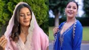 Shehnaaz Gill In Pink Or Blue: Which Ethnic Suit Will Is Perfect Pick For Raksha Bandhan 908357
