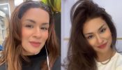 Avneet Kaur's Dramatic Hair Makeover In Her Latest Transformation, Checkout Now! 913802