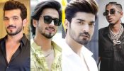 Dahi Handi Special: Arjun Bijlani, MC Stan, Gurmeet Choudhary & Mr. Faisu Head For Special Celebration 915521