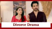 Kaise Mujhe Tum Mil Gaye Serial Upcoming Twist: Priyanka and Ishika plot to get Virat-Amruta divorced; will the divorce happen? 916108