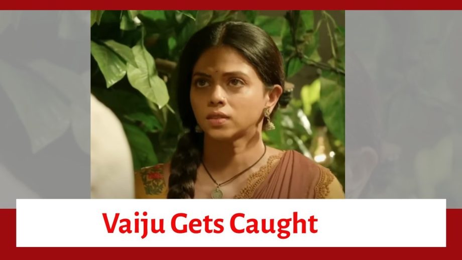 Maati Se Bandhi Dor Serial Upcoming Twist: Vaiju gets caught with sindoor on hairline; will she reveal her husband's name? 913319