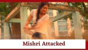 Mishri Serial Upcoming Twist: Mishri attacked by masked man; will Raghav save her? 916090