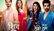 Zee TV Serial 17th August Serial Spoilers: Pyaar Ka Pehla Adhyaya: ShivShakti, And Kaise Mujhe Tum Mil Gaye 913752