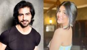 Harshad Chopda's Cryptic Post Amid Pranali Rathod's Durga Show Launch Leaves Fans Curious; Learn Here 918003