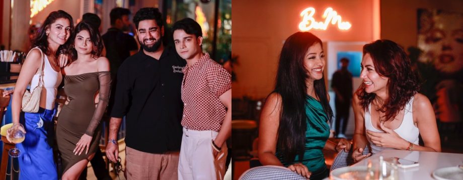 Inside Aparna Mishra's Birthday Bash: Sriti Jha Shares Moments With Krishna Kaul And More 917928