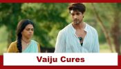 Maati Se Bandhi Dor Serial Upcoming Twist: Vaiju gets into a dilemma; cures Ranvijay 917625