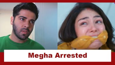 Megha Barsenge Serial Upcoming Twist: OMG!! Manoj levels false allegations on Megha; gets her arrested