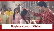 Mishri Serial Upcoming Twist: Raghav on a revenge mission against Mishri; accepts her as his wife 916250