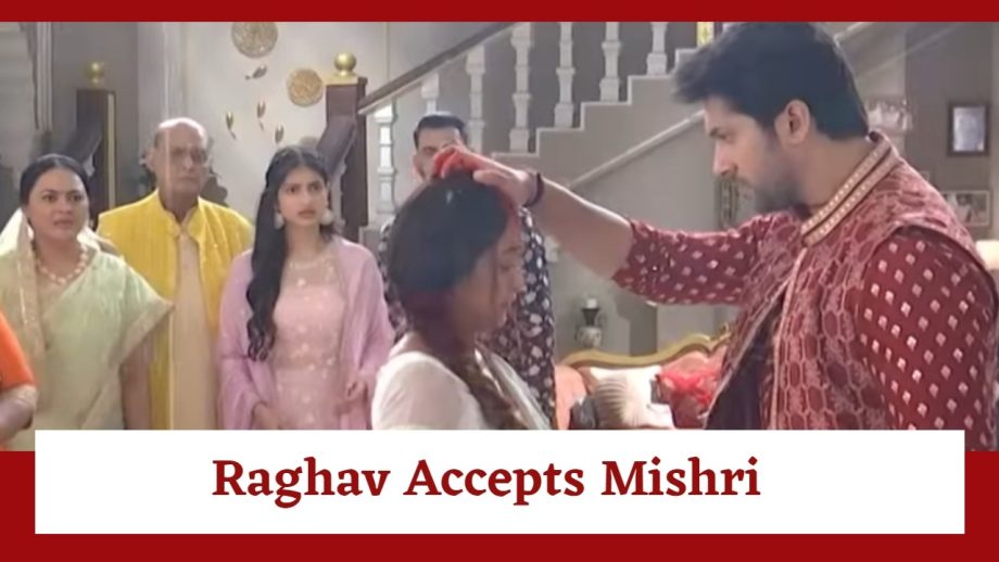 Mishri Serial Upcoming Twist: Raghav on a revenge mission against Mishri; accepts her as his wife 916250