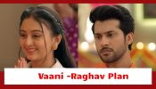 Mishri Serial Upcoming Twist: Vaani and Raghav's final plan to expose Ranjeet; Mishri's courage to fight back 917427