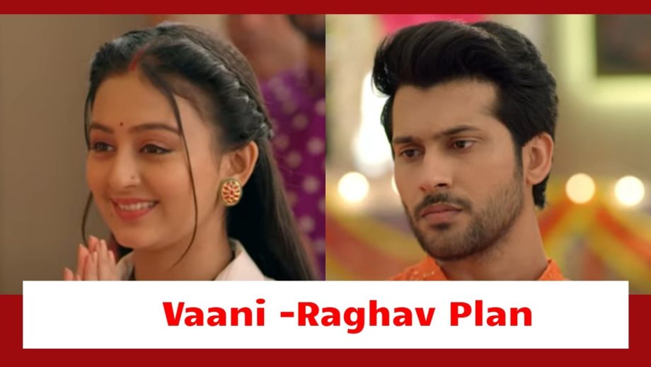 Mishri Serial Upcoming Twist: Vaani and Raghav's final plan to expose Ranjeet; Mishri's courage to fight back 917427