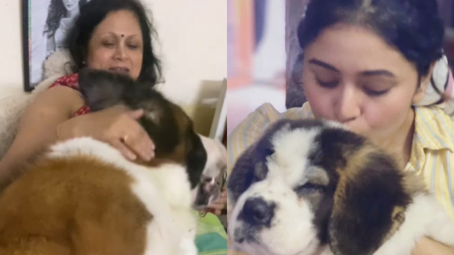 Ritabhari Chakraborty's Heart-Wrenching Farewell to Her Loyal Companion Bnuchki 918385