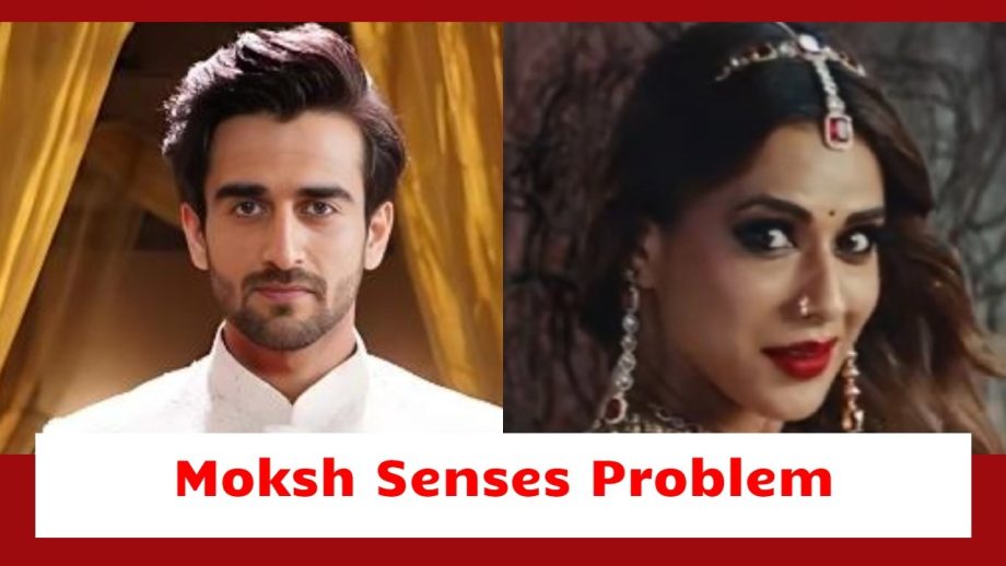 Suhagan Chudail Serial Upcoming Twist: Shalakha woos Moksh as Deeya; Moksh senses Nishigandha in problem 917429