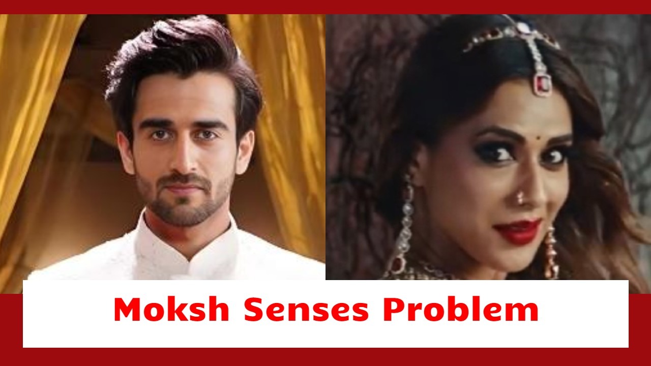 Suhagan Chudail Serial Upcoming Twist: Shalakha woos Moksh as Deeya; Moksh senses Nishigandha in problem 917429