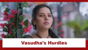 Vasudha Upcoming Twist: Vasudha prepares to sneak into the anniversary party; faces many hurdles 918716