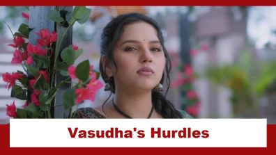 Vasudha Upcoming Twist: Vasudha prepares to sneak into the anniversary party; faces many hurdles