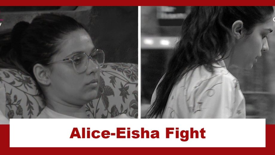 Bigg Boss 18: Alice Kaushik and Eisha Singh find a reason to fight; stop talking to each other 923775