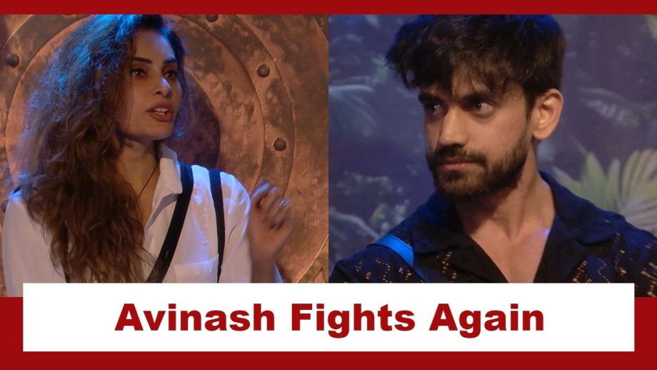 Bigg Boss 18: Avinash Mishra does it again!!, gets into a fight now with Shrutika 922851