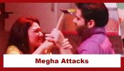 Megha Barsenge Upcoming Twist: Megha gets into trouble at Manoj's house; attacks Manoj 923066