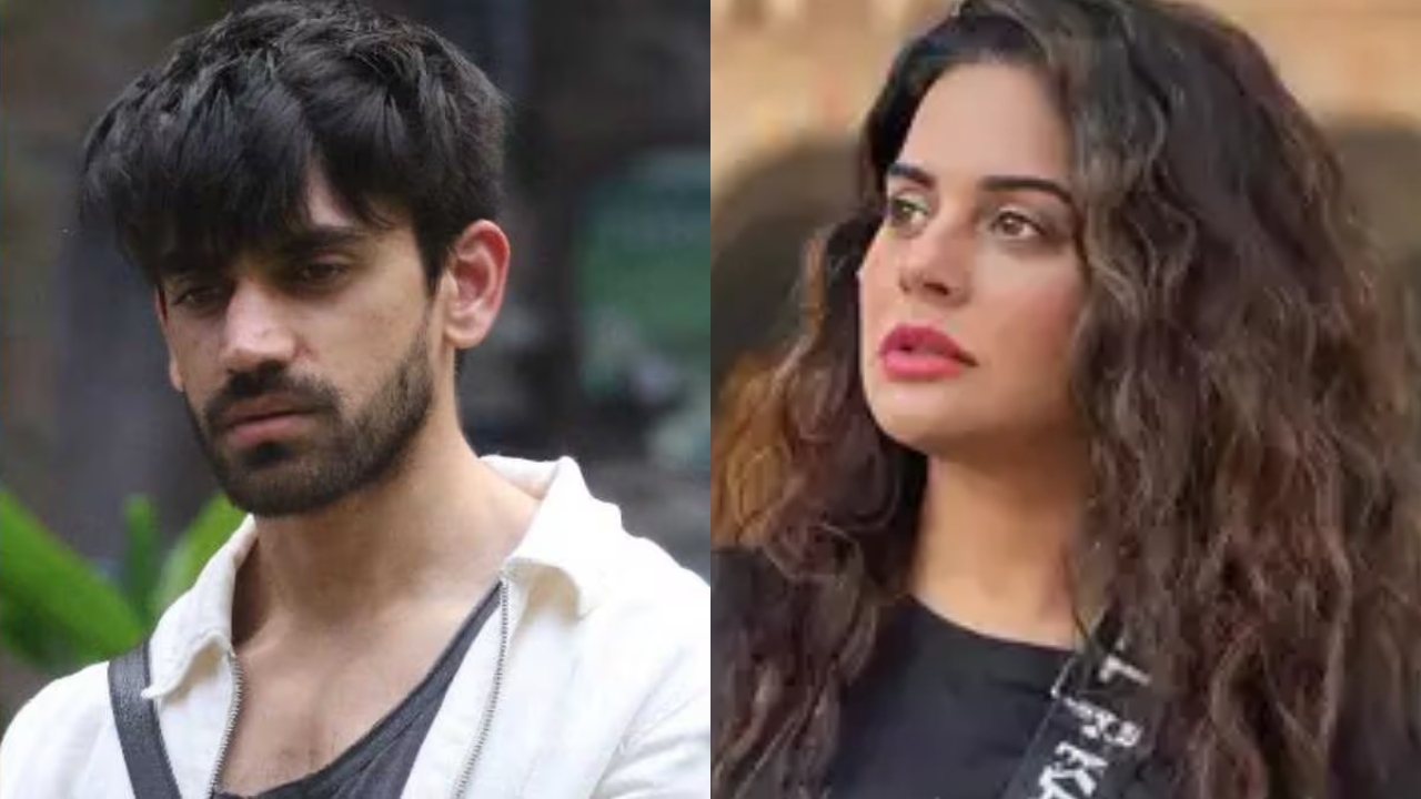 Bigg Boss 18: Sara Arfeen Khan physically hurts Avinash Mishra; will she get evicted? 924857