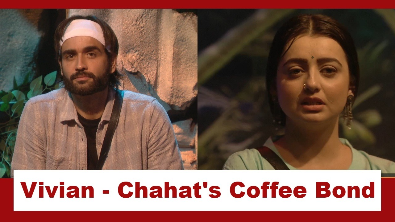 Bigg Boss 18: Surprise!! Chahat Pandey and Vivian Dsena bond over 'coffee' 925549