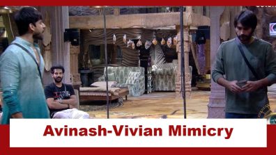 Bigg Boss 18: Vivian Dsena and Avinash Mishra mimic Vivian-Chahat Pandey fight; contestants erupt in laughter