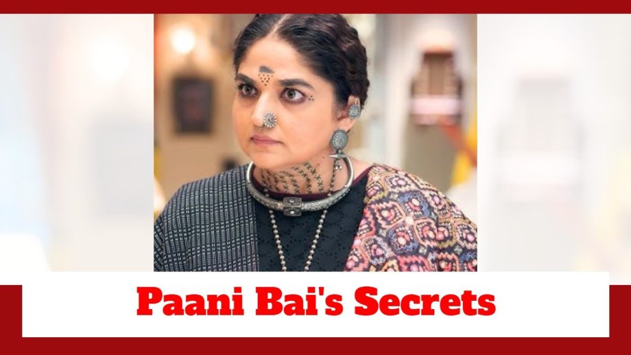 Durga Upcoming Twist: Paani Bai's secrets come to the fore; claims to have given birth to a kid in the royal family 925893