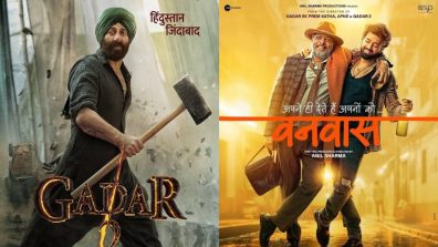 From Gadar to Vanvaas: Iconic Taglines by Director Anil Sharma, A Signature of Storytelling