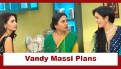 Kaise Mujhe Tum Mil Gaye Upcoming Twist: Vandy Massi plans a fight with Ahujas; will destiny bring the families closer? 924515