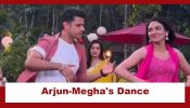 Megha Barsenge Upcoming Twist: Arjun and Megha dance at the picnic; KP Talwar eyes going near Goldie 927576