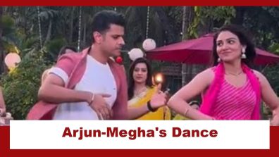 Megha Barsenge Upcoming Twist: Arjun and Megha dance at the picnic; KP Talwar eyes going near Goldie