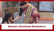 Udne Ki Aasha Upcoming Twist: Roshni's emotional breakdown; reaches her mother's house 927234